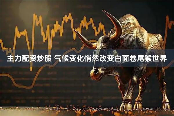主力配资炒股 气候变化悄然改变白面卷尾猴世界