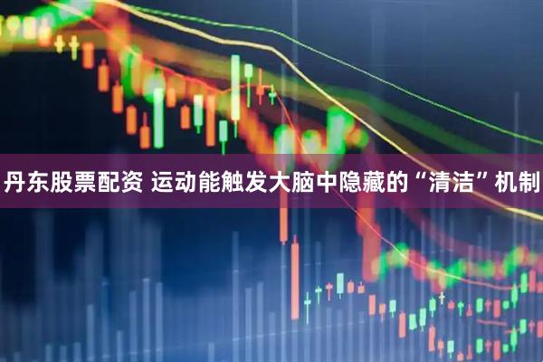 丹东股票配资 运动能触发大脑中隐藏的“清洁”机制